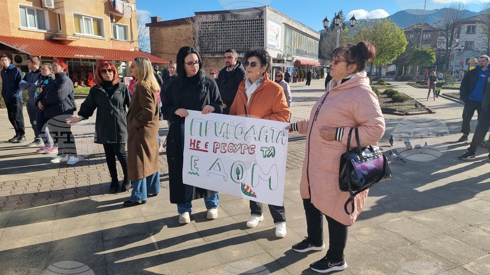 Смолян - изсичане на дървета - протест