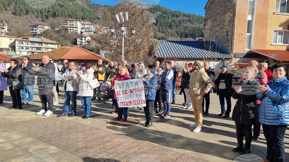 Смолян - изсичане на дървета - протест