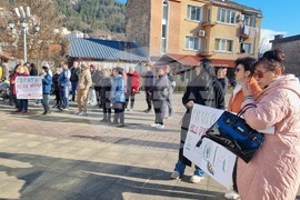 Смолян - изсичане на дървета - протест