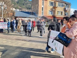 Смолян - изсичане на дървета - протест