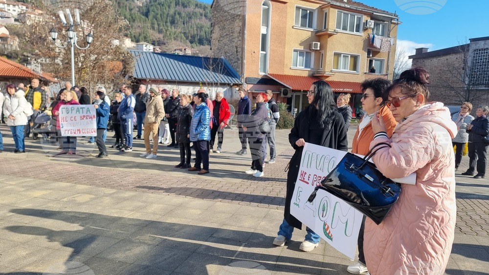 Смолян - изсичане на дървета - протест