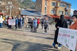 Смолян - изсичане на дървета - протест