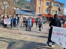 Смолян - изсичане на дървета - протест