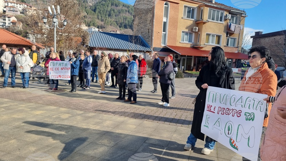 Смолян - изсичане на дървета - протест