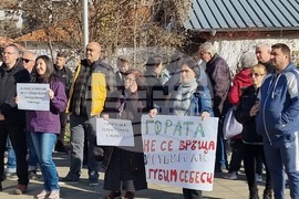 Смолян - изсичане на дървета - протест
