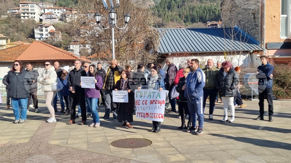 Смолян - изсичане на дървета - протест