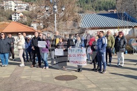Смолян - изсичане на дървета - протест