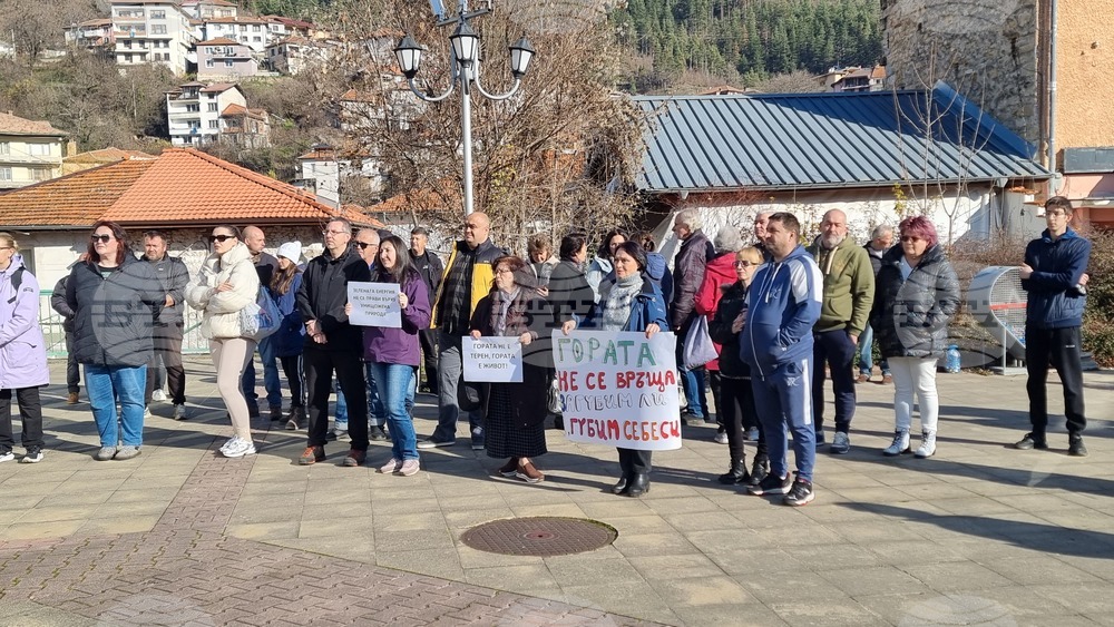 Смолян - изсичане на дървета - протест