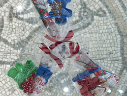 Пловдив - деца със синдром на Даун - работилница