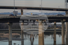 Trump Army Navy Football