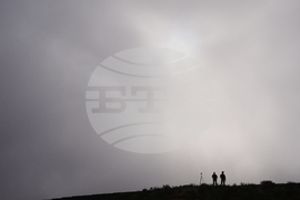 Immigration Homan Border