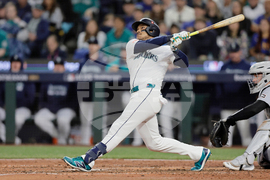 Mets Polanco Baseball