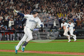 Mets Polanco Baseball