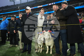 Trump Army Navy Football