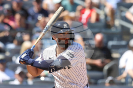 Yankees Rosario Baseball