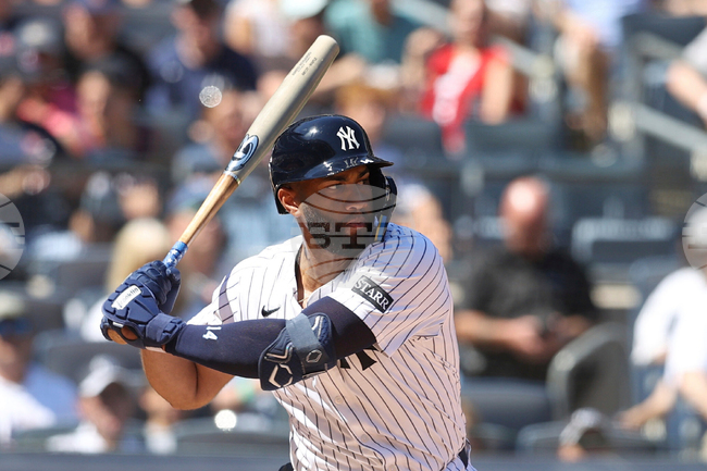 Yankees Rosario Baseball