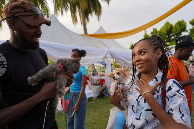 Nigeria Dog Carnival