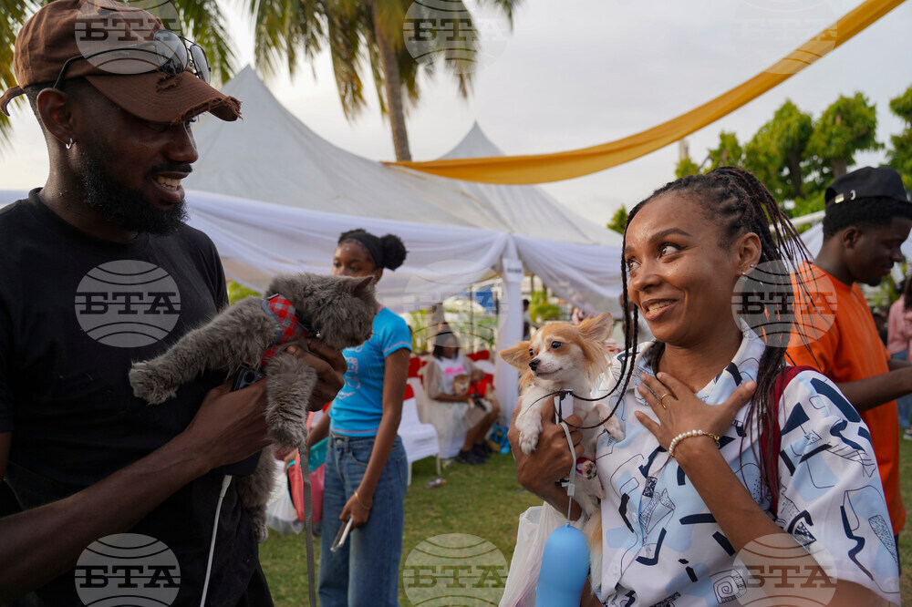 Nigeria Dog Carnival