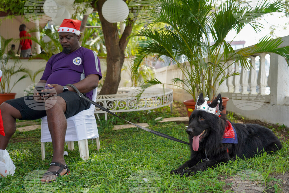 Nigeria Dog Carnival