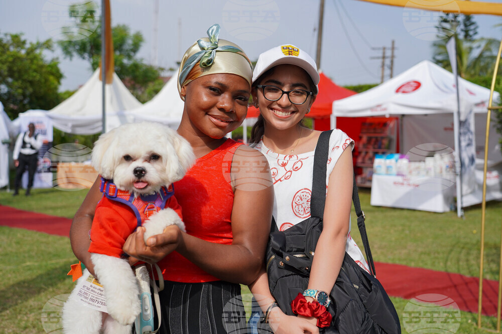 Nigeria Dog Carnival