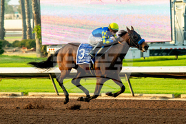 Los Alamitos Horse Racing