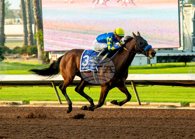 Los Alamitos Horse Racing