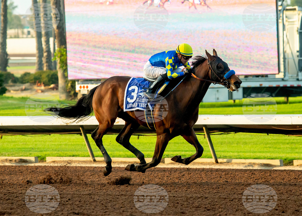 Los Alamitos Horse Racing