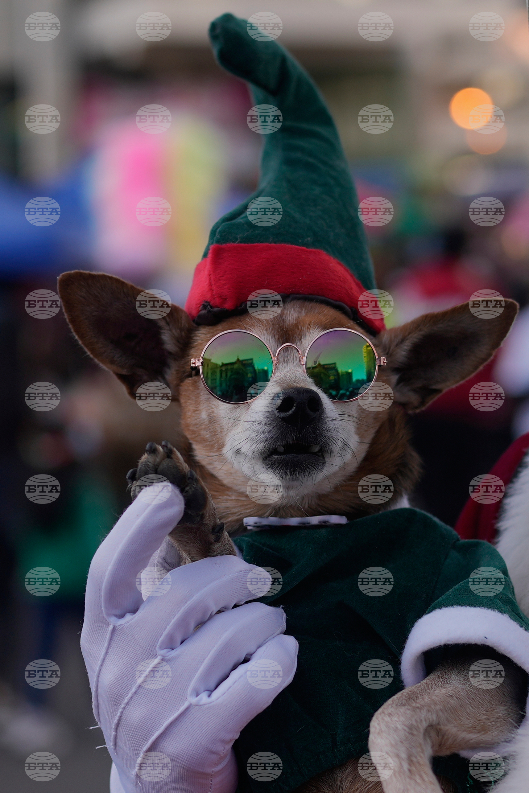 Bolivia Christmas Parade