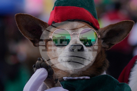 Bolivia Christmas Parade