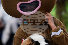 Bolivia Christmas Parade