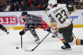 Golden Knights Blue Jackets Hockey