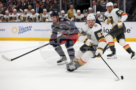 Golden Knights Blue Jackets Hockey