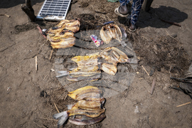 Climate South Sudan Flooding