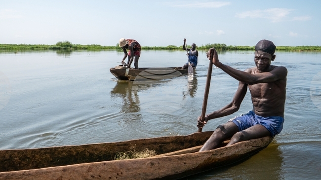 Най-малко 15 души загинаха при преобръщането на ферибот в река Нил в Судан
