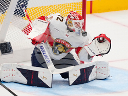 Panthers Stars Hockey