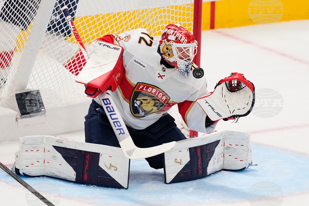 Panthers Stars Hockey