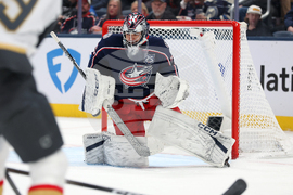 Golden Knights Blue Jackets Hockey