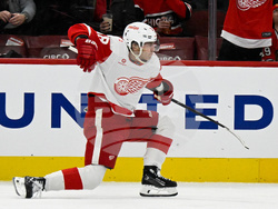 Red Wings Blackhawks Hockey