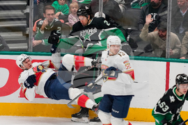 Panthers Stars Hockey