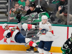 Panthers Stars Hockey