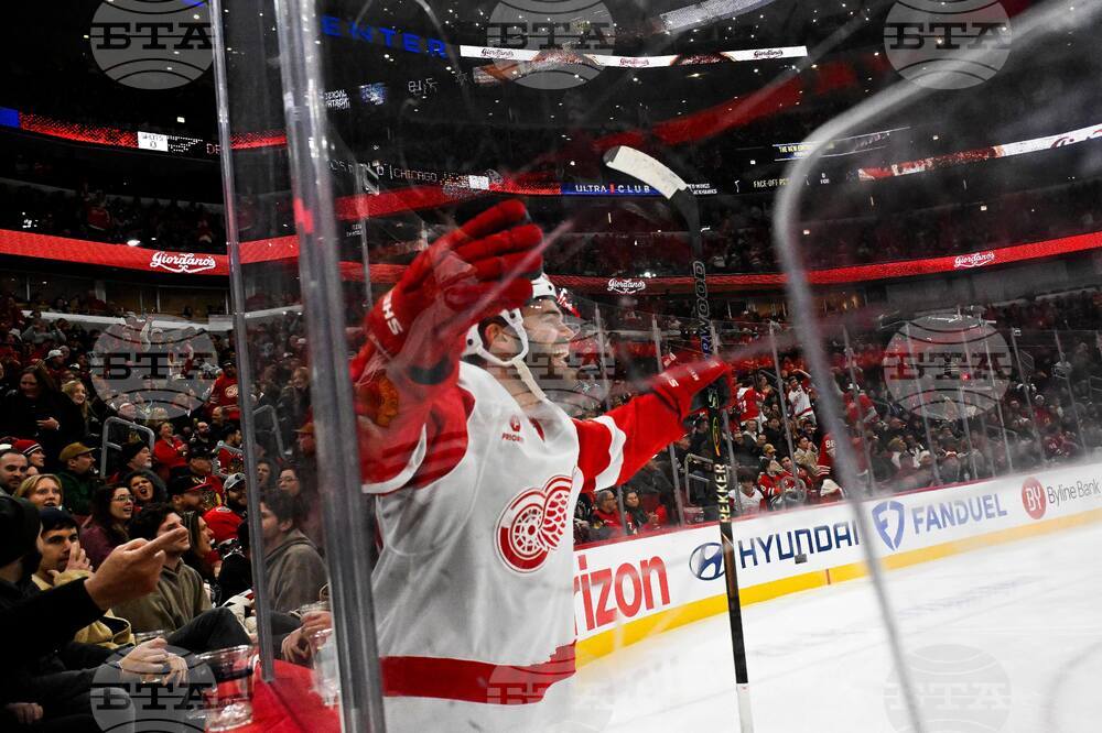 Red Wings Blackhawks Hockey