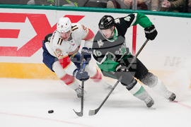 Panthers Stars Hockey