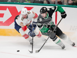 Panthers Stars Hockey