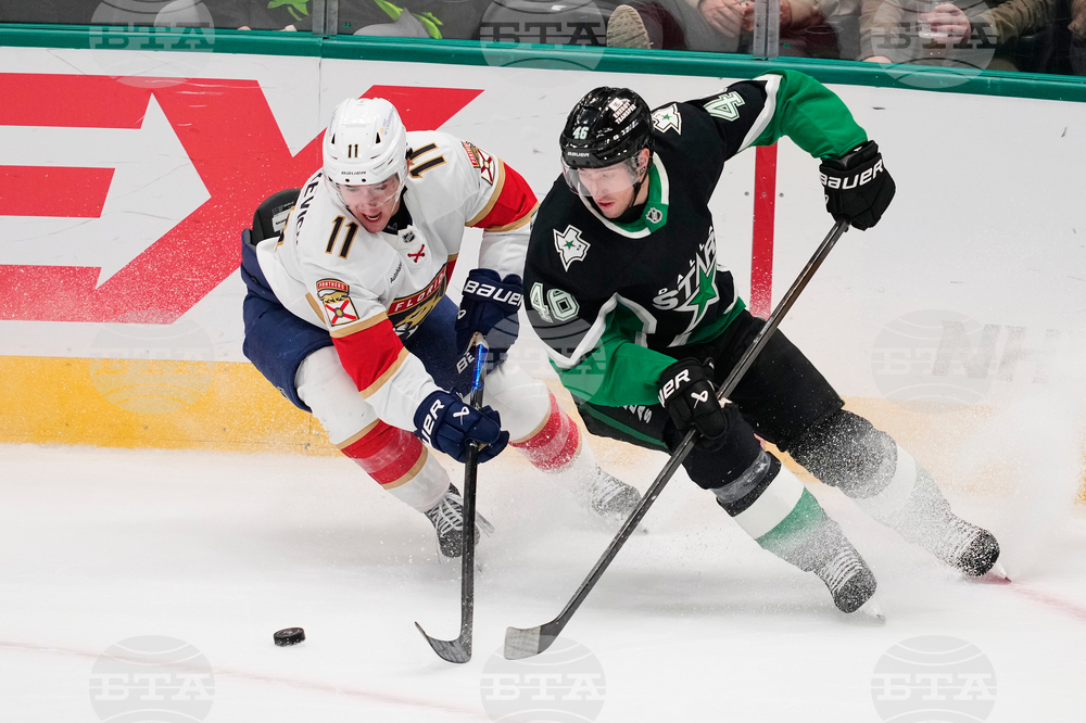 Panthers Stars Hockey