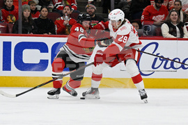 Red Wings Blackhawks Hockey