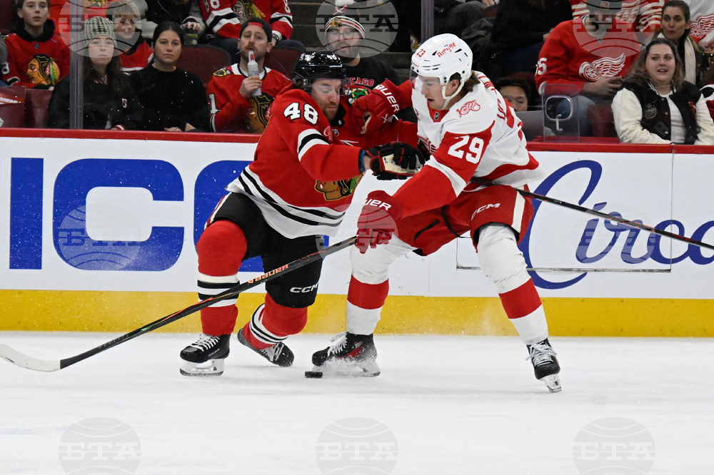 Red Wings Blackhawks Hockey