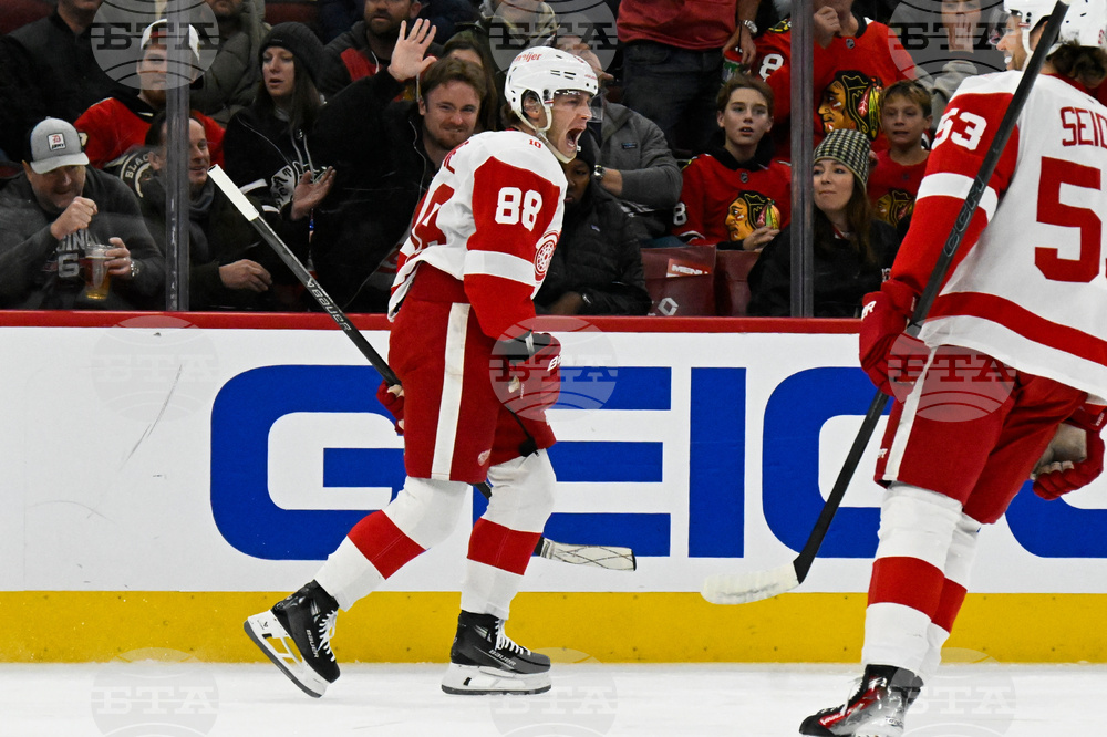 Red Wings Blackhawks Hockey