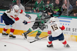 Panthers Stars Hockey