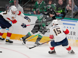 Panthers Stars Hockey