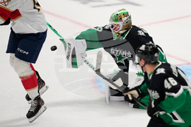 Panthers Stars Hockey